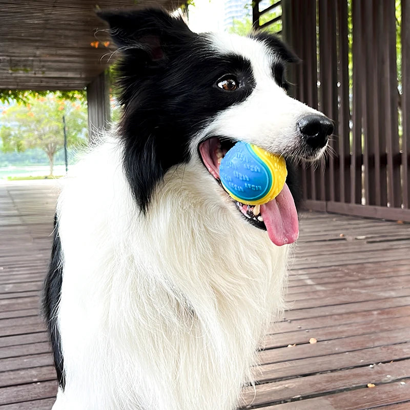 Dog Interactive Squeaky Ball Toy – Soft TPR Teeth Cleaning Chew Toy