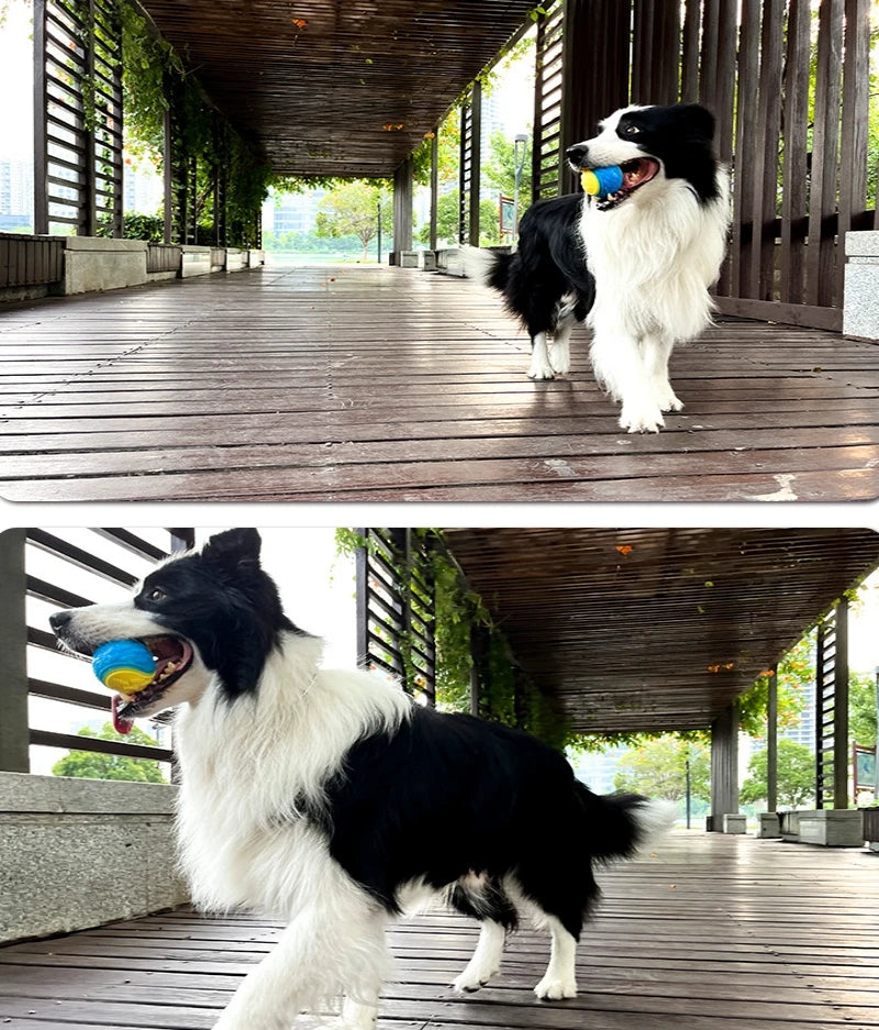 Dog Interactive Squeaky Ball Toy – Soft TPR Teeth Cleaning Chew Toy